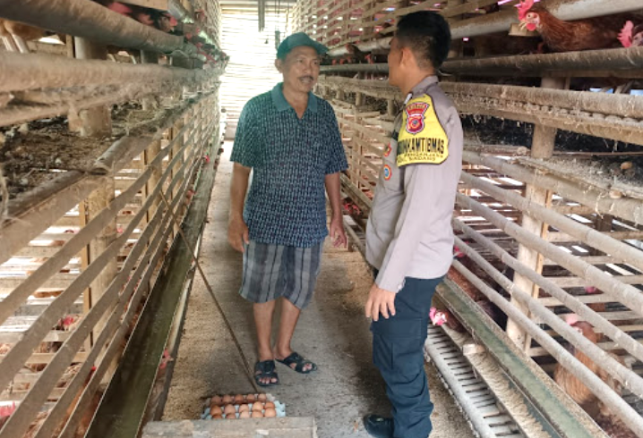 Dukung Ketahanan Pangan, Polsek Sindang Dampingi Peternak Ayam Petelur