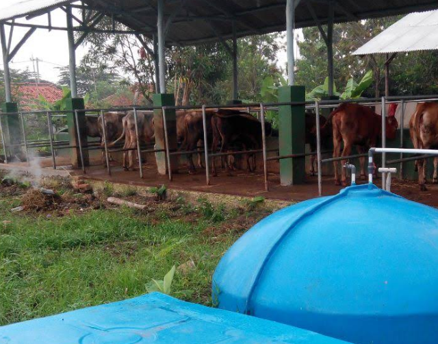 Peternakan Padang Bulan